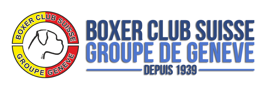 Boxer Club Suisse Groupe Genève